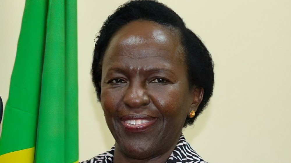 Điện mừng Bộ trưởng Ngoại giao và Hợp tác Đông Phi nước Cộng hòa Thống nhất Tanzania