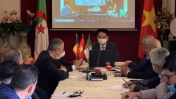 Khai thác tiềm năng hợp tác thương mại và đầu tư Việt Nam-Algeria-Senegal