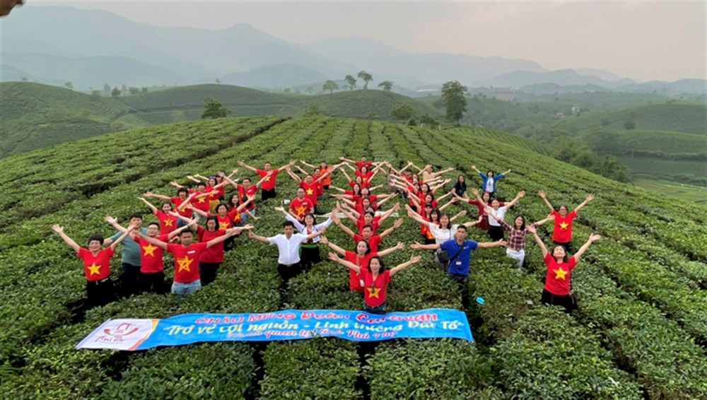 Du khách trải nghiệm tại đồi chè Mỹ Thuận. (Ảnh: Bùi Thuận)