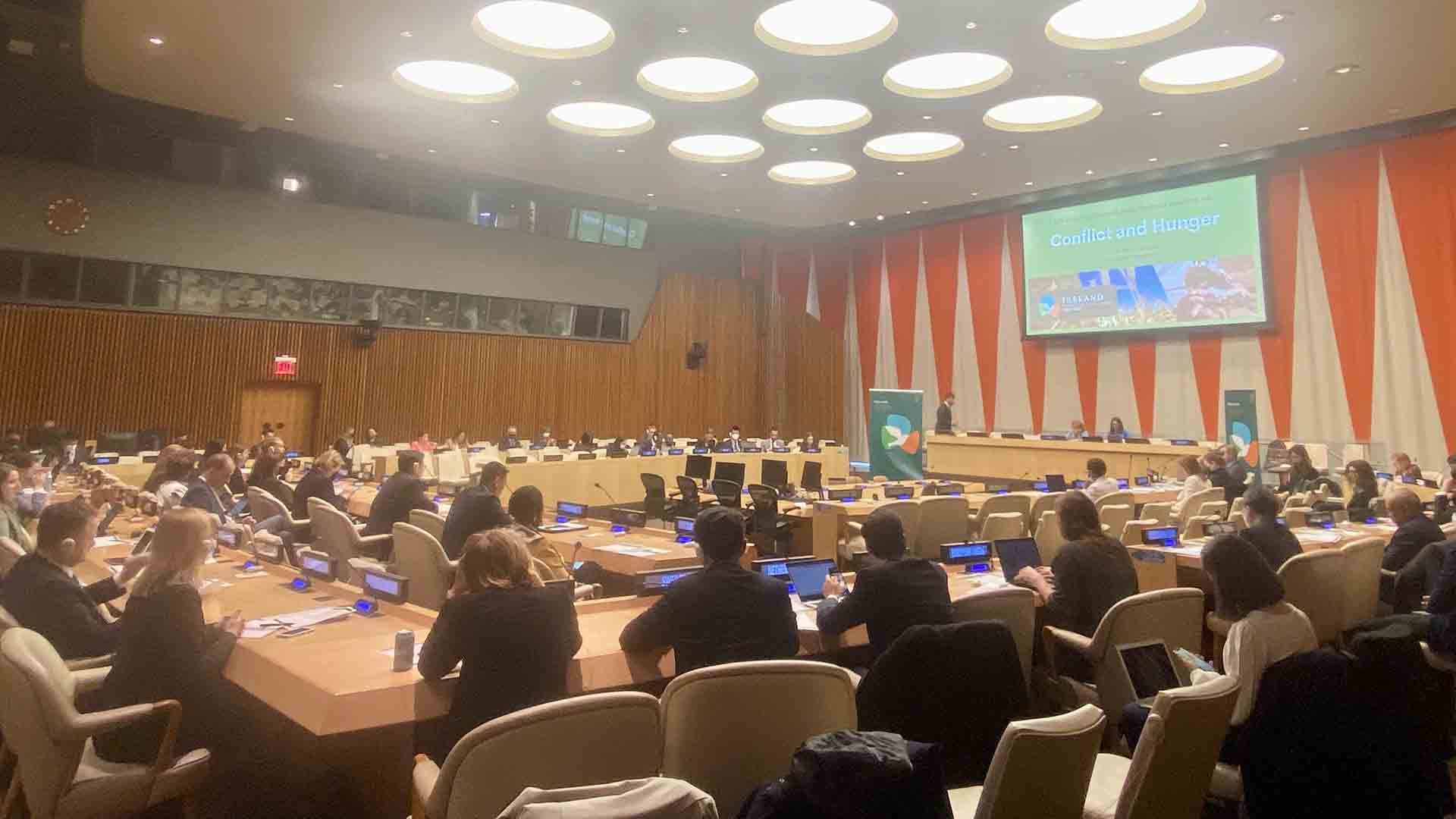 Hội đồng Bảo an Liên hợp quốc họp theo thể thức Arria về chủ đề nạn đói và xung đột.