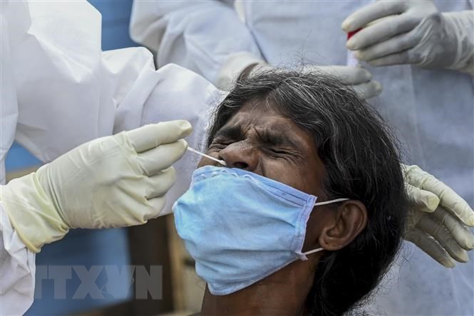 Lấy mẫu xét nghiệm COVID-19 tại Colombo, Sri Lanka. (Nguồn: AFP/TTXVN)