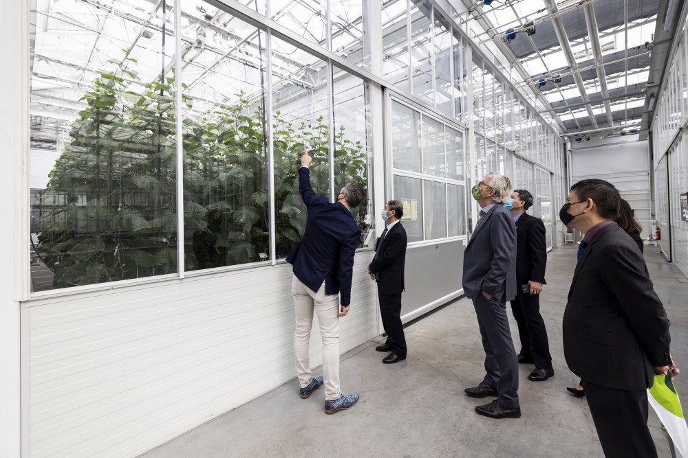 Đại sứ Việt Nam tại Hà Lan Phạm Việt Anh thăm một số doanh nghiệp thành viên Hiệp hội Hợp tác Trồng trọt Thương mại Hà Lan-Việt Nam Đại sứ Việt Nam tại Hà Lan Phạm Việt Anh thăm một số doanh nghiệp thành viên Hiệp hội Hợp tác Trồng trọt Thương mại Hà Lan-Việt Nam