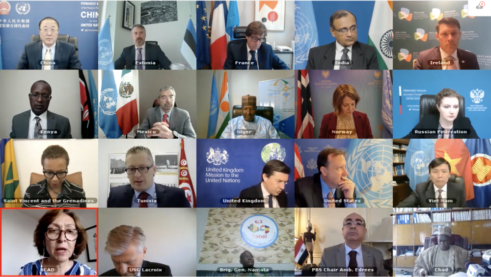 Hội đồng Bảo an Liên hợp quốc (HĐBA LHQ) họp trực tuyến về hoạt động của Lực lượng chung chống khủng bố giữa 5 nước khu vực Sahel (G5 Sahel)