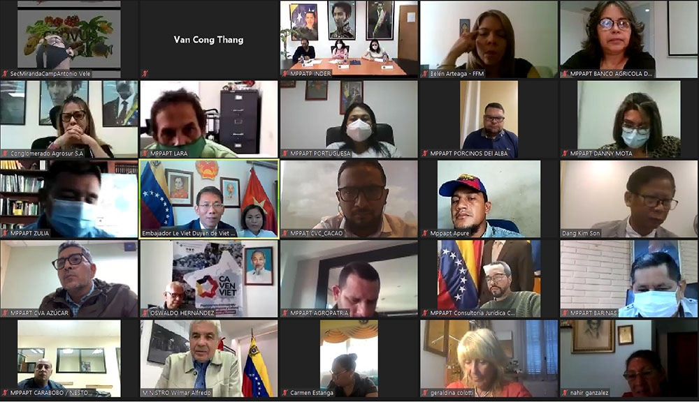 Các đại biểu tham gia hội thảo trực tuyến ‘Công cuộc Đổi mới của Việt Nam trong lĩnh vực nông nghiệp’. 