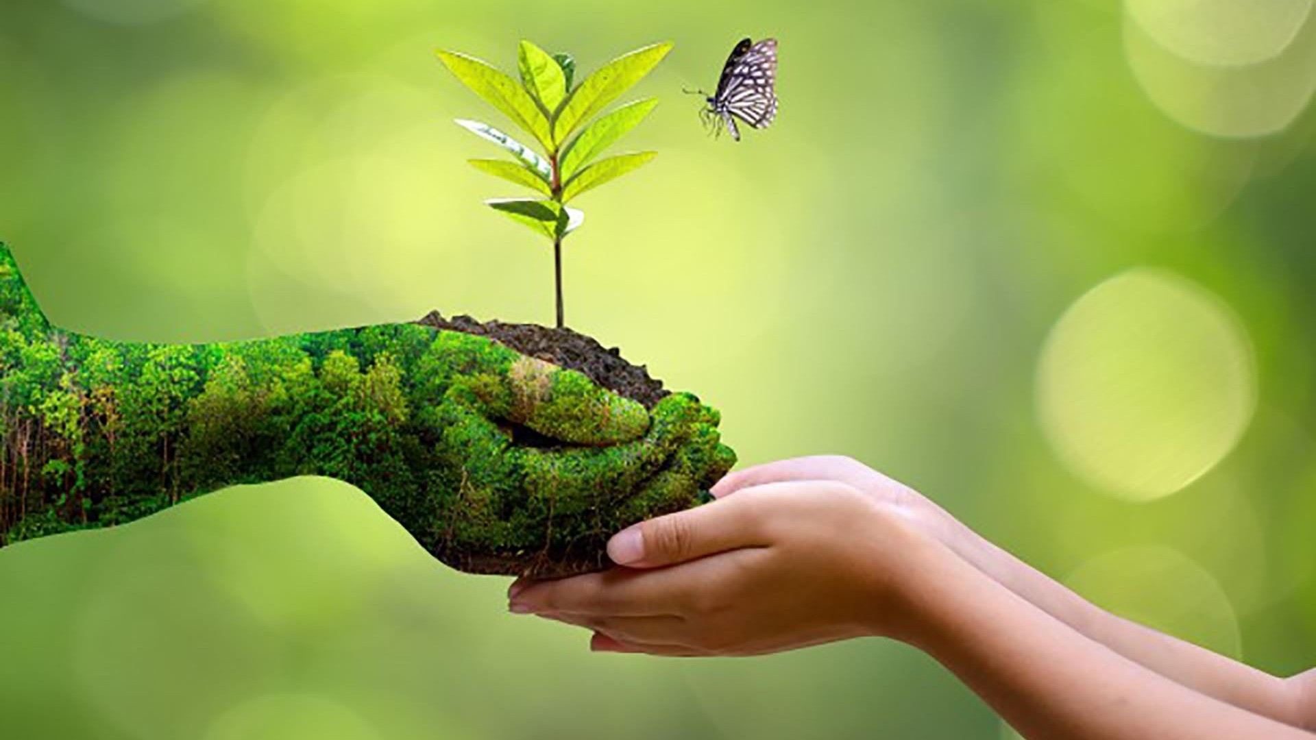 Phục hồi tài nguyên đất: Vấn đề và giải pháp