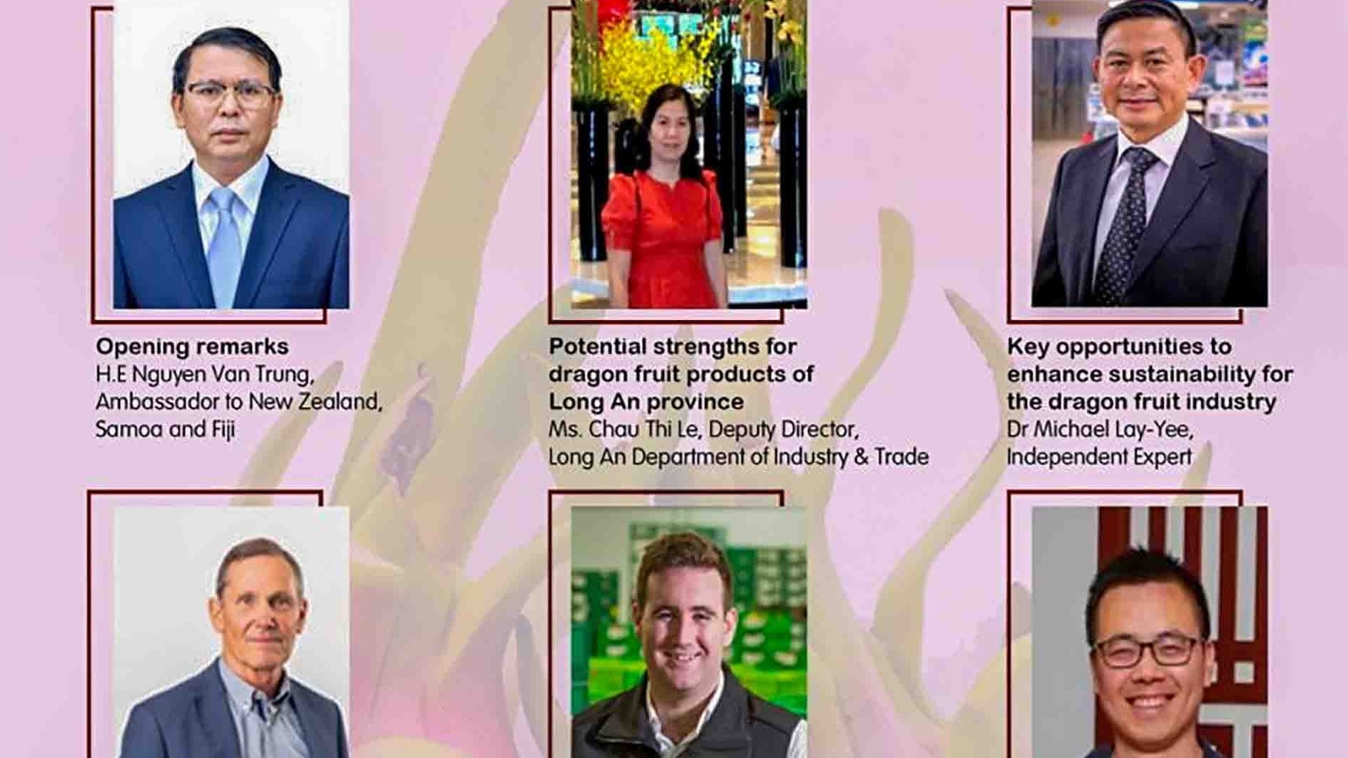 Thúc đẩy xuất khẩu thanh long sang thị trường Australia và New Zealand