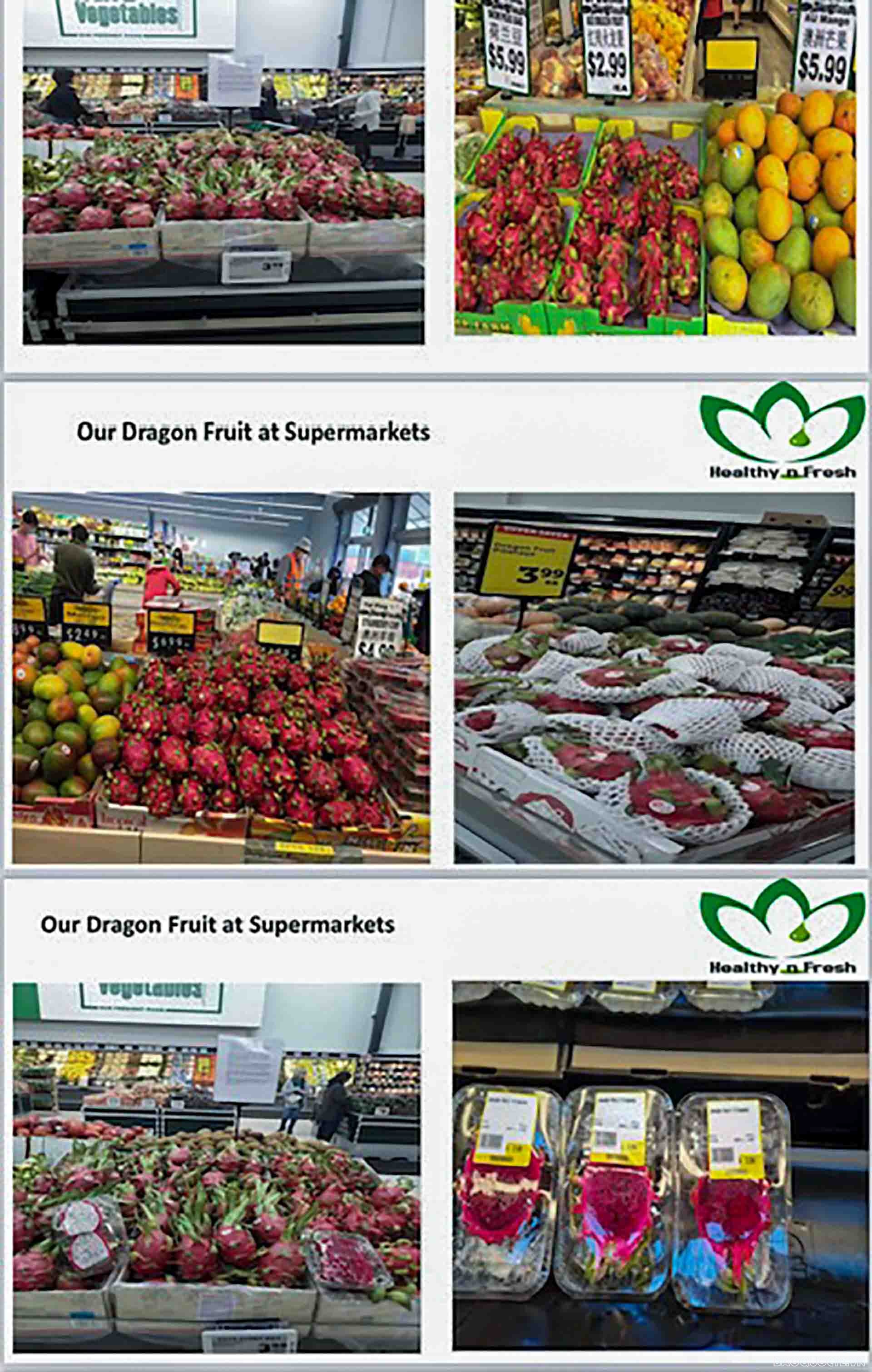 • Việt Nam đã có giấy phép xuất khẩu vào thị trường New Zealand ba loại quả tươi là xoài (năm 2011), thanh long (2014), chôm chôm (2018) • Việt Nam đã có giấy phép xuất khẩu vào thị trường New Zealand ba loại quả tươi là xoài (năm 2011), thanh long (2014), chôm chôm (2018)