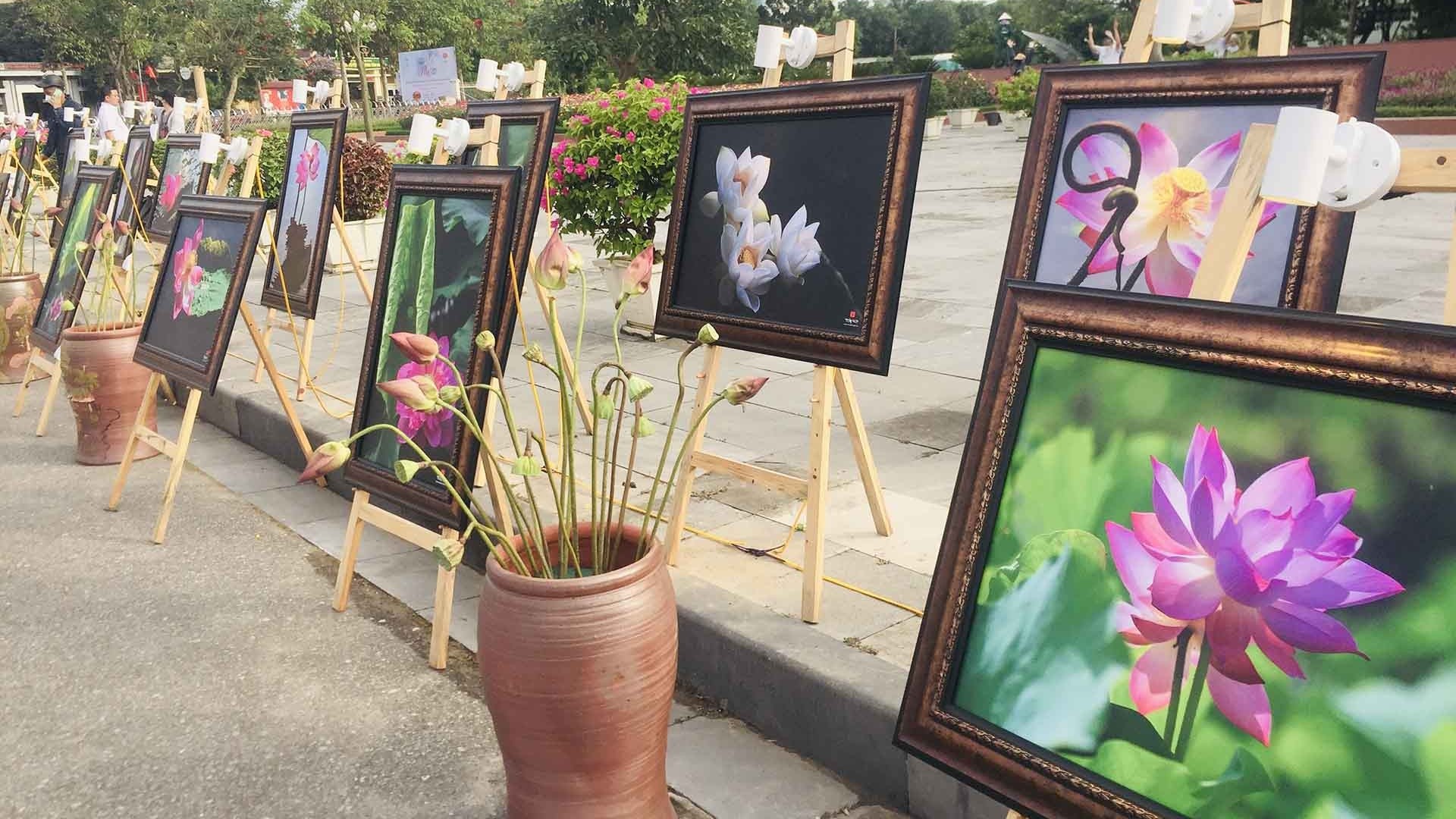 Tháng Năm trên quê hương Bác