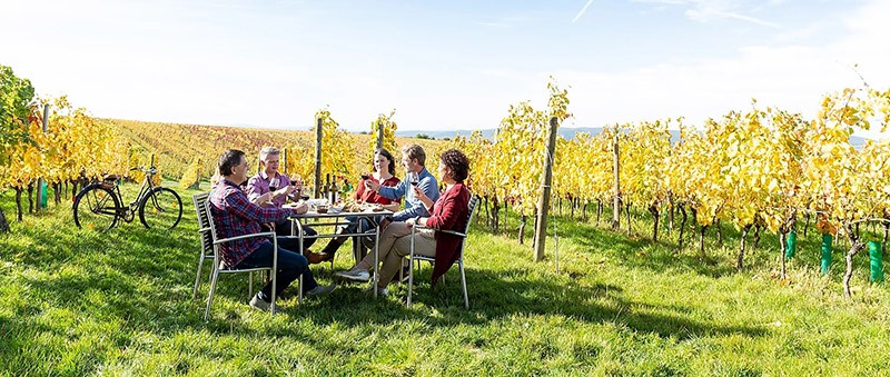 Bang Burgenland, Áo có tiềm năng hợp tác du lịch, nông nghiệp, năng lượng tái tạo, điện tử và xây dựng với Việt Nam