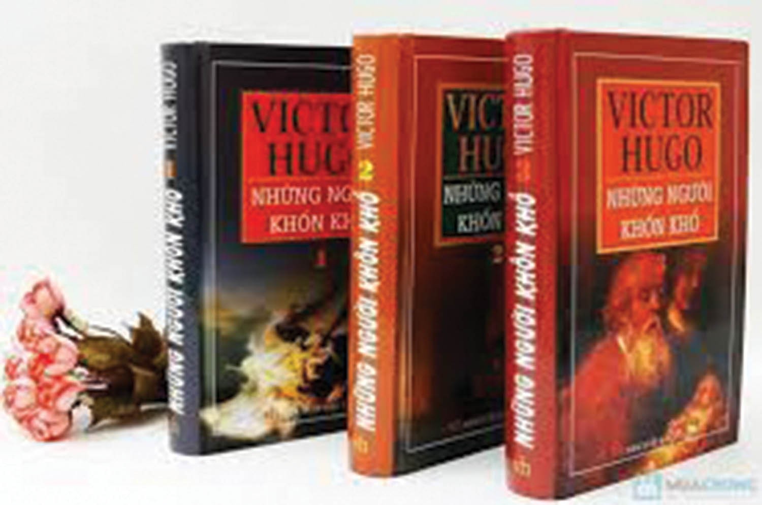 Những người khốn khổ là tiểu thuyết xã hội, tác phẩm được phổ biến rộng rãi nhất của Hugo. 