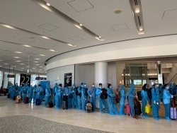 Thêm một chuyến bay đưa 342 công dân Việt Nam từ Nhật Bản về nước an toàn