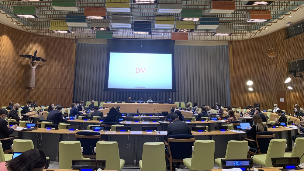 Hội đồng Bảo an: Tăng cường cách tiếp cận đối với hòa bình, an ninh ở Sahel qua lăng kính giới