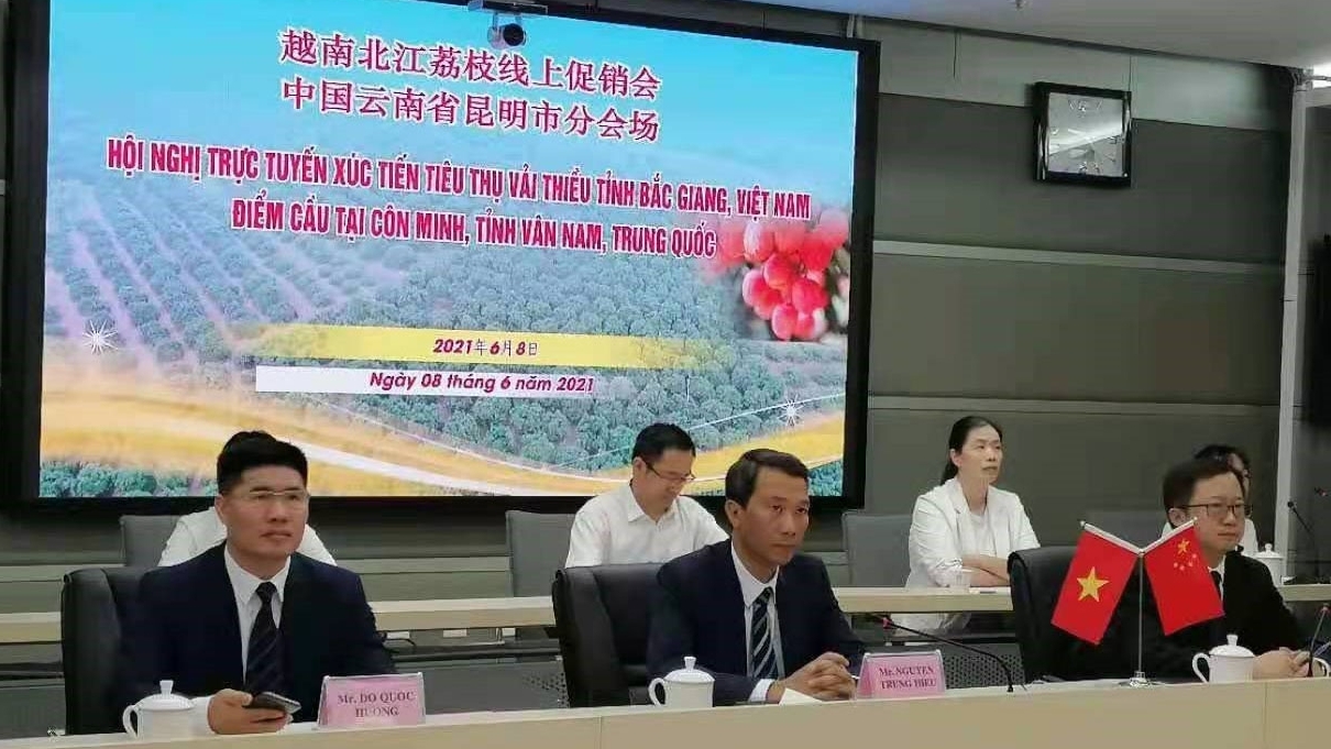 Chung tay xúc tiến tiêu thụ vải thiều Bắc Giang tại thị trường Trung Quốc