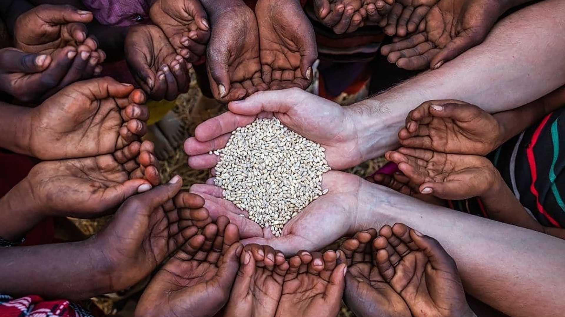 LHQ: Khoảng 2/3 dân số Nam Sudan sẽ rơi vào nạn đói nghiêm trọng