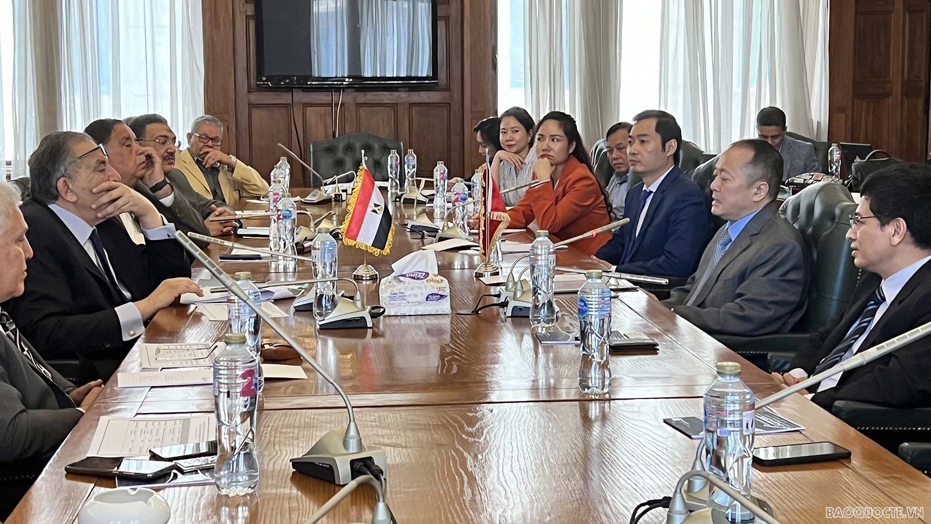 Việt Nam-Ai Cập: Nỗ lực đưa kim ngạch thương mại đạt 1 tỷ USD