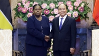Việt Nam coi trọng thúc đẩy quan hệ hợp tác hữu nghị truyền thống với Mozambique