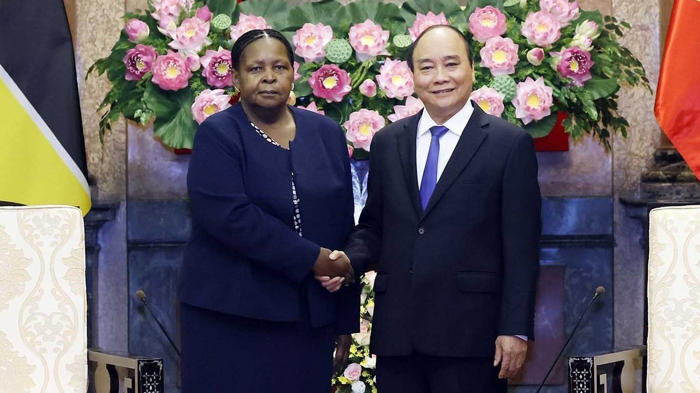 Việt Nam coi trọng thúc đẩy quan hệ hợp tác hữu nghị truyền thống với Mozambique