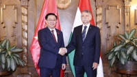 Việt Nam là đối tác quan trọng của Hungary ở Đông Nam Á