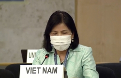 Hội đồng Nhân quyền thảo luận về quyền của người khuyết tật trong bối cảnh biến đổi khí hậu