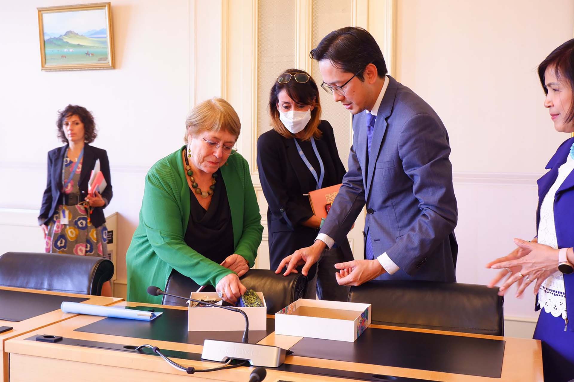 Việt Nam có thể đóng góp hiệu quả cho đối thoại và hợp tác trong hoạt động của Hội đồng Nhân quyền