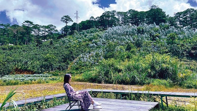 ‘Sống chậm’ ở Đà Lạt