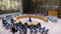 Các nước HĐBA đánh giá cao nỗ lực của ASEAN trong việc thúc đẩy tìm kiếm giải pháp hòa bình cho vấn đề Myanmar