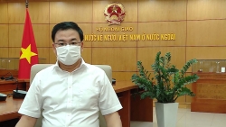 Kiều bào hướng về quê hương, chung sức vượt đại dịch