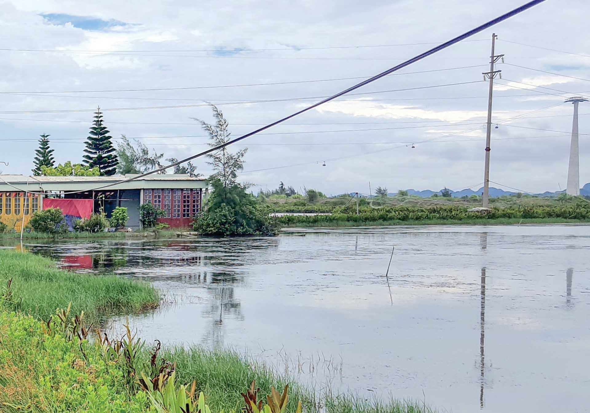 Toàn cảnh vùng nuôi trồng hải sản của cựu Thiếu tá Lê Mai và người con trai. (Ảnh: Mạnh Cường) Toàn cảnh vùng nuôi trồng hải sản của cựu Thiếu tá Lê Mai và người con trai. (Ảnh: Mạnh Cường)