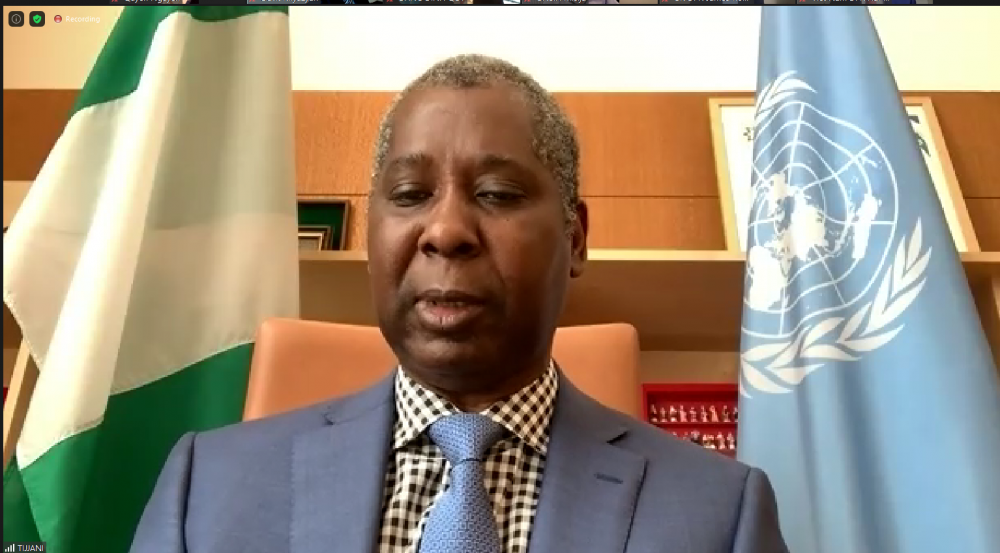 phai-doan-viet-nam-tai-new-york-to-chuc-le-ky-niem-truc-tuyen-75-nam-quoc-khanh-29-1