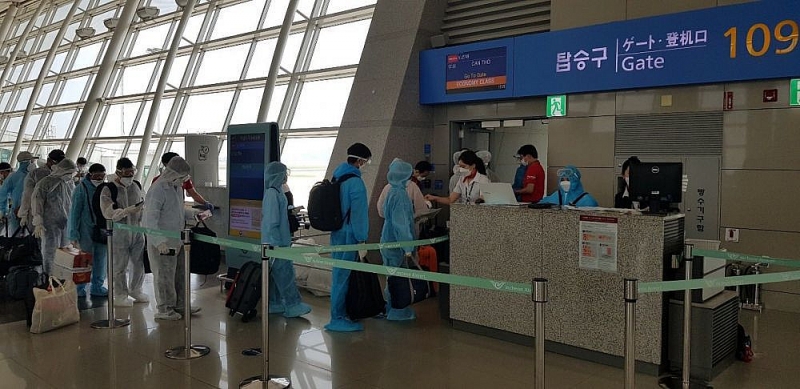 Hai chuyến bay đưa gần 380 công dân Việt Nam từ Hàn Quốc về nước an toàn hai-chuyen-bay-dua-gan-380-cong-dan-viet-nam-tu-han-quoc-ve-nuoc-an-toan