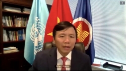 Hội đồng Bảo an thảo luận về các tác động đến vấn đề nhân đạo của biến đổi khí hậu và suy thoái môi trường