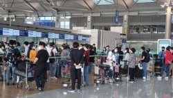 Dịch Covid-19: Phối hợp đưa công dân Việt Nam từ Nhật Bản và Hàn Quốc về nước