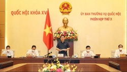 Khai mạc Phiên họp thứ 3 Ủy ban Thường vụ Quốc hội: Cho ý kiến 6 dự án luật trình Kỳ họp thứ 2