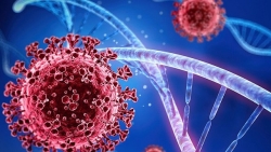 Những biến thể của virus SARS-CoV-2: Nguy cơ về những làn sóng lây nhiễm mới