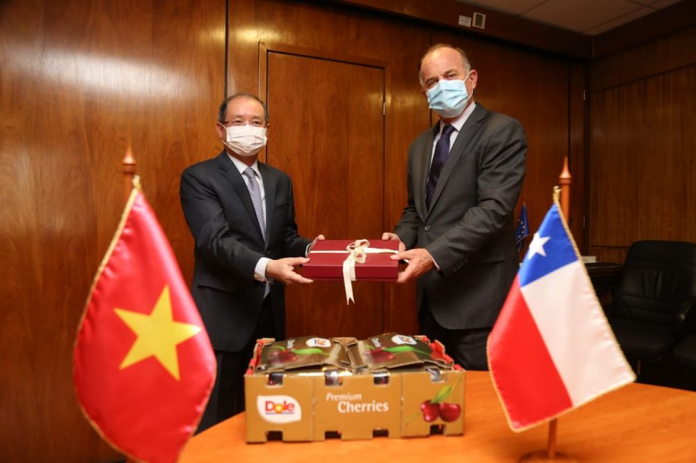 Chile mong muốn mở rộng quan hệ hợp tác với Việt Nam trong lĩnh vực nông nghiệp