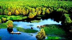 Rừng tràm Trà Sư: Từ vùng trũng hoang hóa đến điểm du lịch lý tưởng