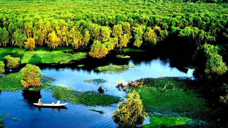 Rừng tràm Trà Sư: Từ vùng trũng hoang hóa đến điểm du lịch lý tưởng