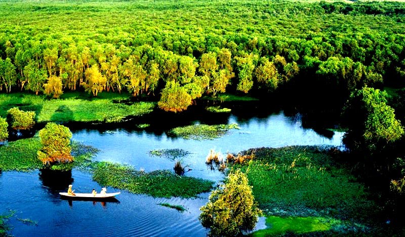 Về An Giang khám phá rừng Tràm Trà Sư Về An Giang khám phá rừng Tràm Trà Sư