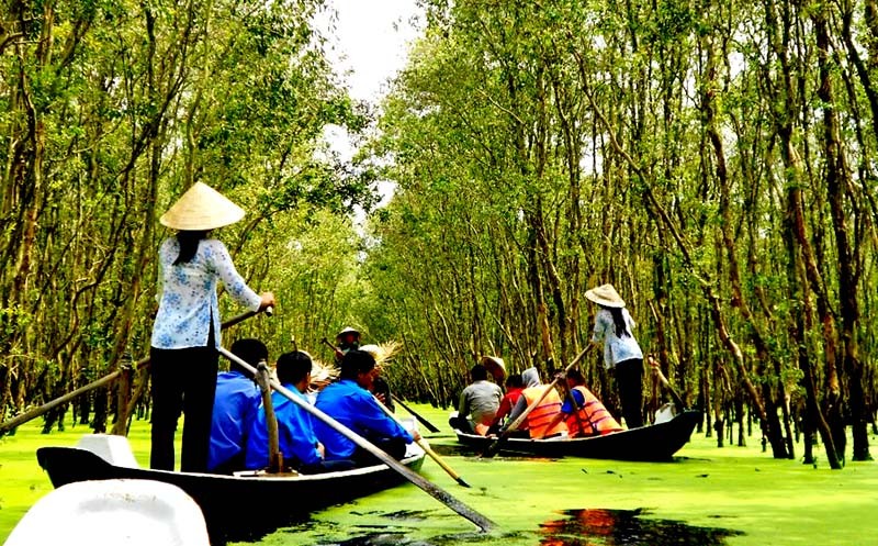 Về An Giang khám phá rừng Tràm Trà Sư Về An Giang khám phá rừng Tràm Trà Sư