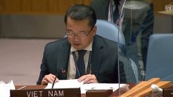 Hội đồng Bảo an thảo luận và thông qua Tuyên bố Chủ tịch về tình hình khu vực Các Hồ Lớn tại châu Phi