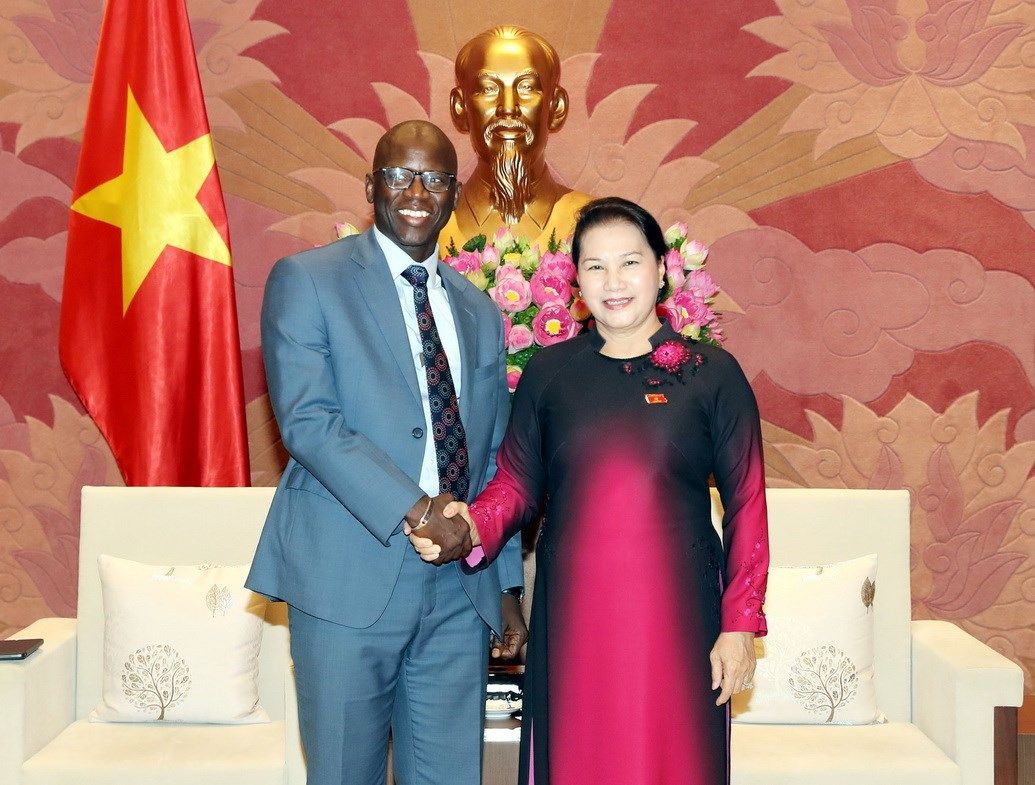 Việt Nam sẽ trở thành hình mẫu cho các quốc gia đang phát triển