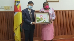 Mozambique mong muốn thắt chặt quan hệ hữu nghị hợp tác truyền thống với Việt Nam