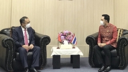 Việt Nam-Thái Lan thúc đẩy hợp tác trong lĩnh vực văn hóa