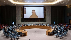 Việt Nam kêu gọi các bên tại Afghanistan tuân thủ đầy đủ nghĩa vụ của luật nhân đạo quốc tế