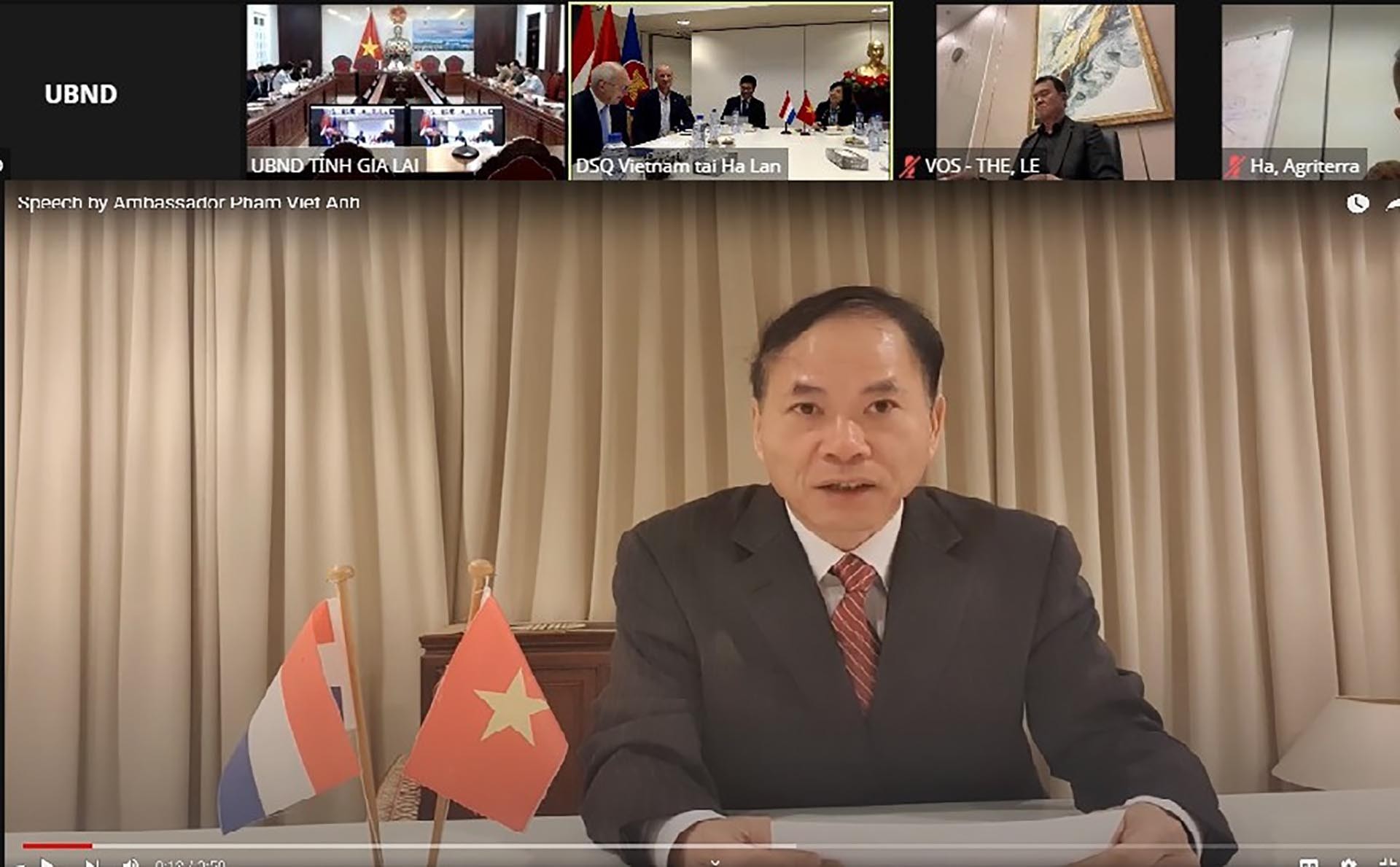 Đại sứ Phạm Việt Anh phát biểu.