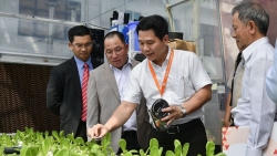 Kỳ vọng của kiều bào tham gia vào sự nghiệp phát triển đất nước