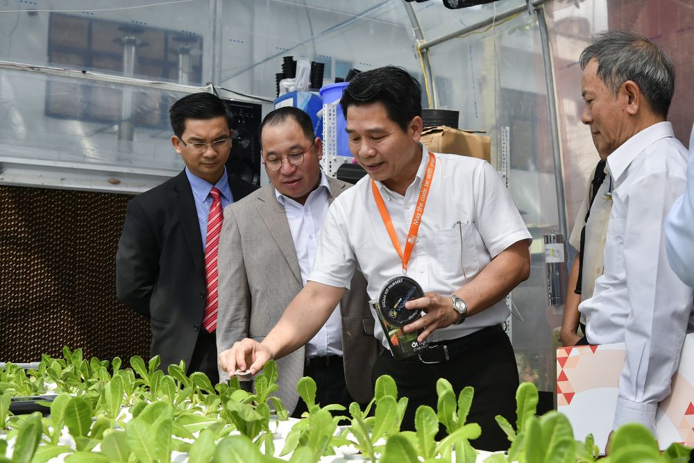 Đoàn kiều bào thăm Trung tâm Công nghệ cao Quang Trung ở Thành phố Hồ Chí Minh, ngày 29/10. (Ảnh: Tuấn Anh) 