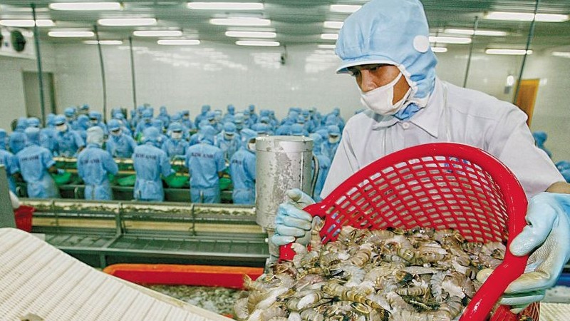 Xuất khẩu tôm sang Mỹ khởi sắc