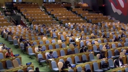 Việt Nam tham gia phiên thảo luận của Đại hội đồng Liên hợp quốc về đại dương và Luật biển