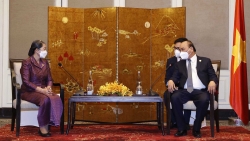 Chủ tịch nước Nguyễn Xuân Phúc tiếp Phó Thủ tướng Campuchia Men Sam An